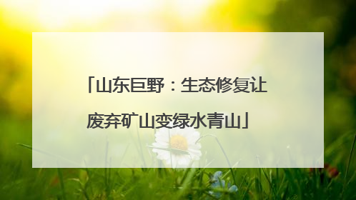 山东巨野：生态修复让废弃矿山变绿水青山