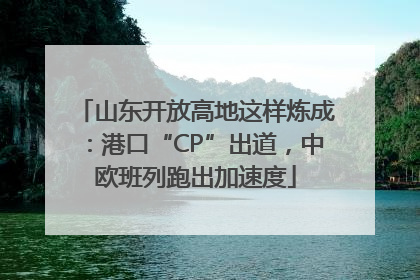 山东开放高地这样炼成：港口“CP”出道，中欧班列跑出加速度