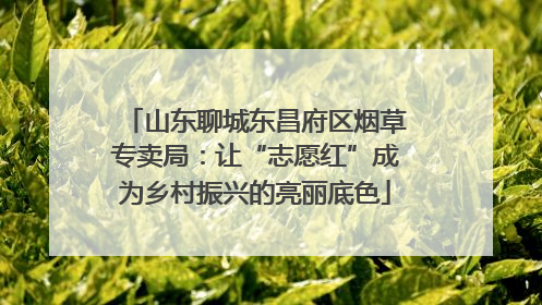 山东聊城东昌府区烟草专卖局：让“志愿红”成为乡村振兴的亮丽底色