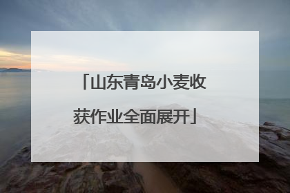 山东青岛小麦收获作业全面展开