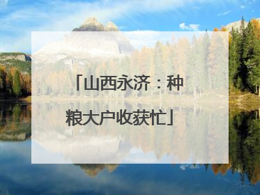 山西永济：种粮大户收获忙