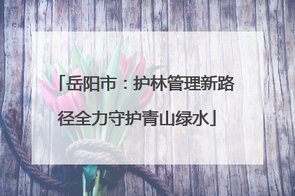 岳阳市：护林管理新路径全力守护青山绿水