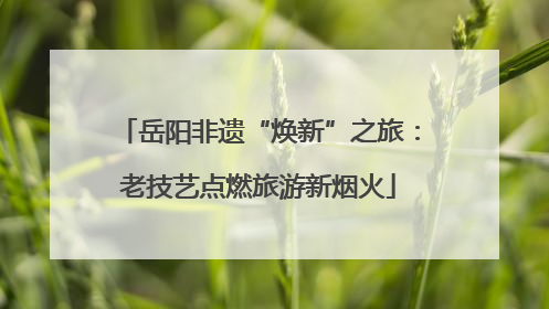 岳阳非遗“焕新”之旅：老技艺点燃旅游新烟火
