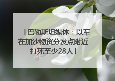 巴勒斯坦媒体：以军在加沙物资分发点附近打死至少28人