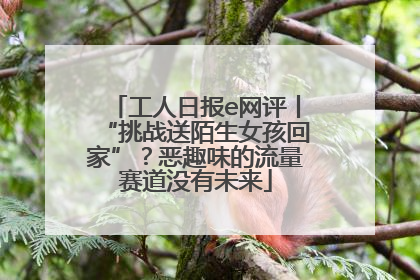 工人日报e网评丨“挑战送陌生女孩回家”？恶趣味的流量赛道没有未来