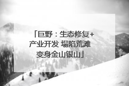 巨野：生态修复+产业开发 塌陷荒滩变身金山银山