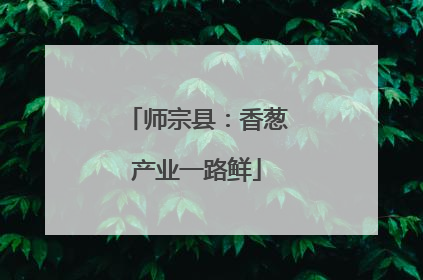师宗县：香葱产业一路鲜