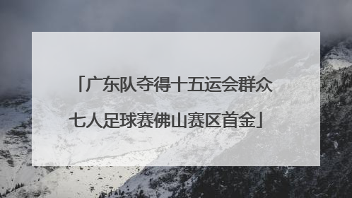 广东队夺得十五运会群众七人足球赛佛山赛区首金