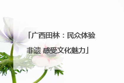 广西田林：民众体验非遗 感受文化魅力