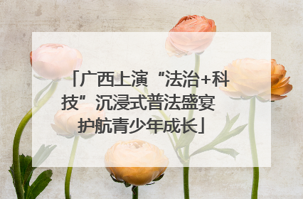 广西上演“法治+科技”沉浸式普法盛宴 护航青少年成长