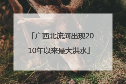 广西北流河出现2010年以来最大洪水