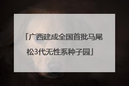 广西建成全国首批马尾松3代无性系种子园