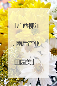 广西柳江：雨后产业田园美