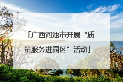 广西河池市开展“质量服务进园区”活动