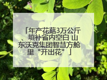 年产花菇3万公斤、填补省内空白 山东沃克集团智慧方舱里“开出花”