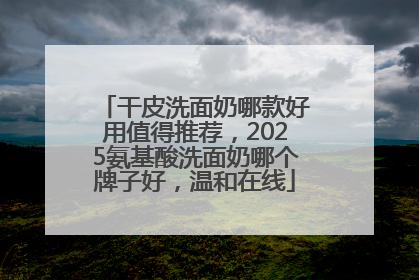 干皮洗面奶哪款好用值得推荐，2025氨基酸洗面奶哪个牌子好，温和在线