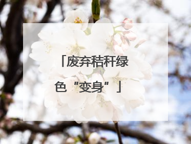 废弃秸秆绿色“变身”