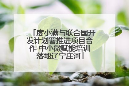 度小满与联合国开发计划署推进项目合作 中小微赋能培训落地辽宁庄河