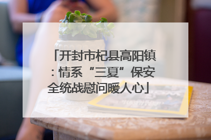 开封市杞县高阳镇：情系“三夏”保安全统战慰问暖人心
