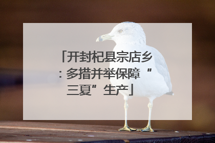 开封杞县宗店乡：多措并举保障“三夏”生产