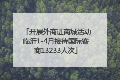 开展外商进商城活动 临沂1-4月接待国际客商13233人次