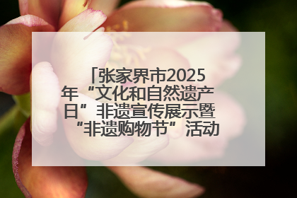 张家界市2025年“文化和自然遗产日”非遗宣传展示暨“非遗购物节”活动在慈利县盛大启幕
