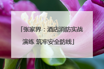 张家界：酒店消防实战演练 筑牢安全防线