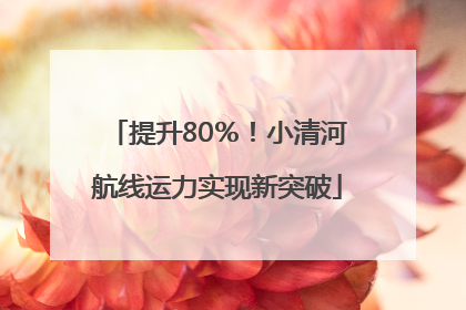 提升80％！小清河航线运力实现新突破