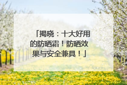 揭晓：十大好用的防晒霜！防晒效果与安全兼具！