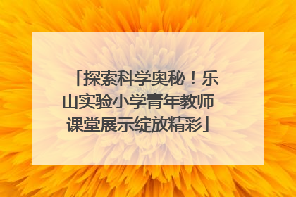 探索科学奥秘！乐山实验小学青年教师课堂展示绽放精彩