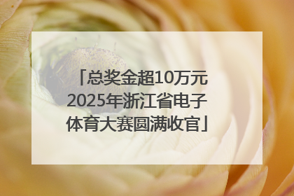 总奖金超10万元 2025年浙江省电子体育大赛圆满收官