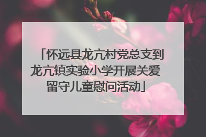 怀远县龙亢村党总支到龙亢镇实验小学开展关爱留守儿童慰问活动