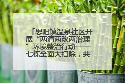 思阳镇温泉社区开展“两清两改两治理”环境整治行动——七栋全面大扫除，共建洁净家园