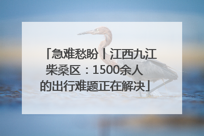急难愁盼丨江西九江柴桑区：1500余人的出行难题正在解决