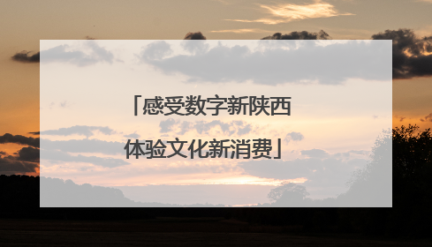 感受数字新陕西 体验文化新消费
