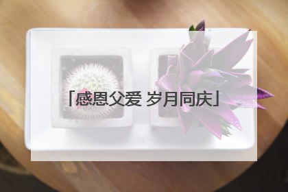 感恩父爱 岁月同庆