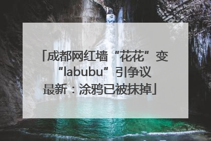成都网红墙“花花”变“labubu”引争议 最新：涂鸦已被抹掉