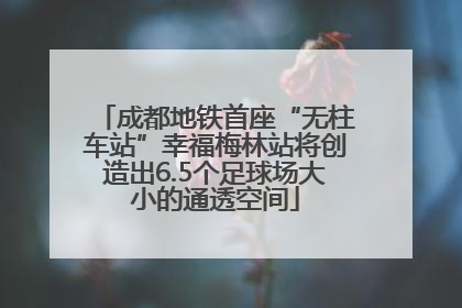 成都地铁首座“无柱车站”幸福梅林站将创造出6.5个足球场大小的通透空间