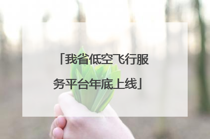 我省低空飞行服务平台年底上线