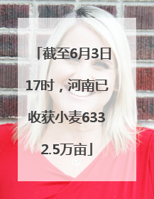 截至6月3日17时，河南已收获小麦6332.5万亩