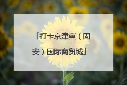 打卡京津冀（固安）国际商贸城