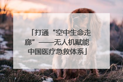 打通“空中生命走廊”——无人机赋能中国医疗急救体系