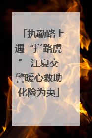 执勤路上遇“拦路虎” 江夏交警暖心救助化险为夷