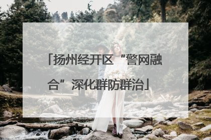扬州经开区“警网融合”深化群防群治