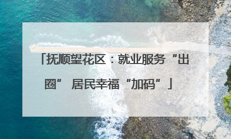 抚顺望花区：就业服务“出圈” 居民幸福“加码”