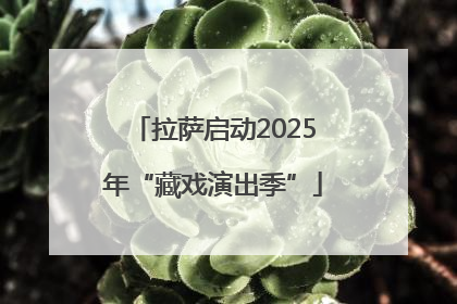 拉萨启动2025年“藏戏演出季”
