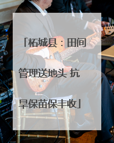柘城县：田间管理送地头 抗旱保苗保丰收
