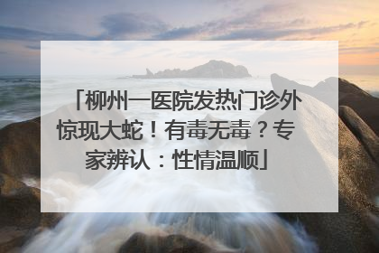 柳州一医院发热门诊外惊现大蛇！有毒无毒？专家辨认：性情温顺
