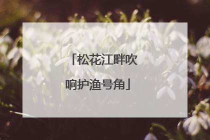 松花江畔吹响护渔号角