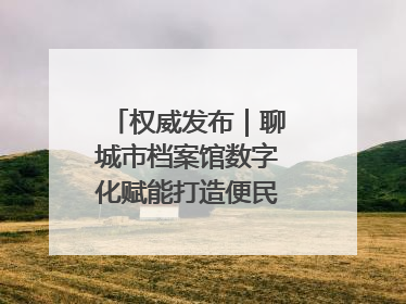 权威发布｜聊城市档案馆数字化赋能打造便民服务新模式